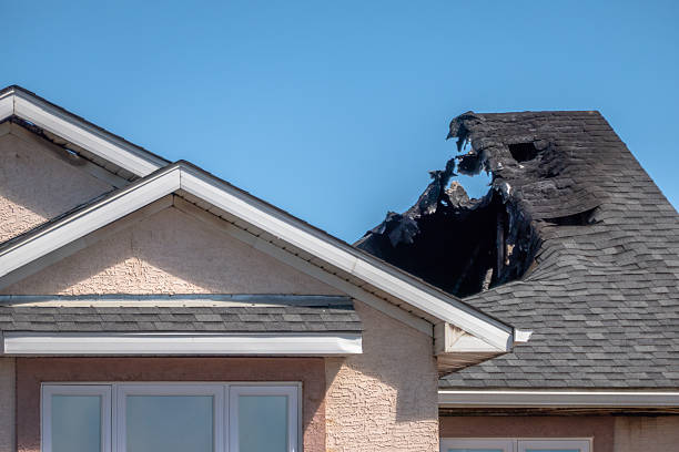 Top rated local Smoke Damage Removal specialists in Prospect, KY